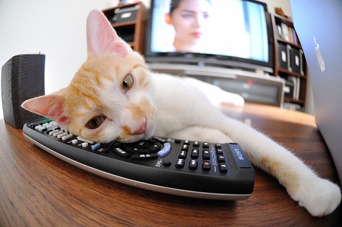 杜兰特挥师定乾坤，山西刀客决胜斩活塞