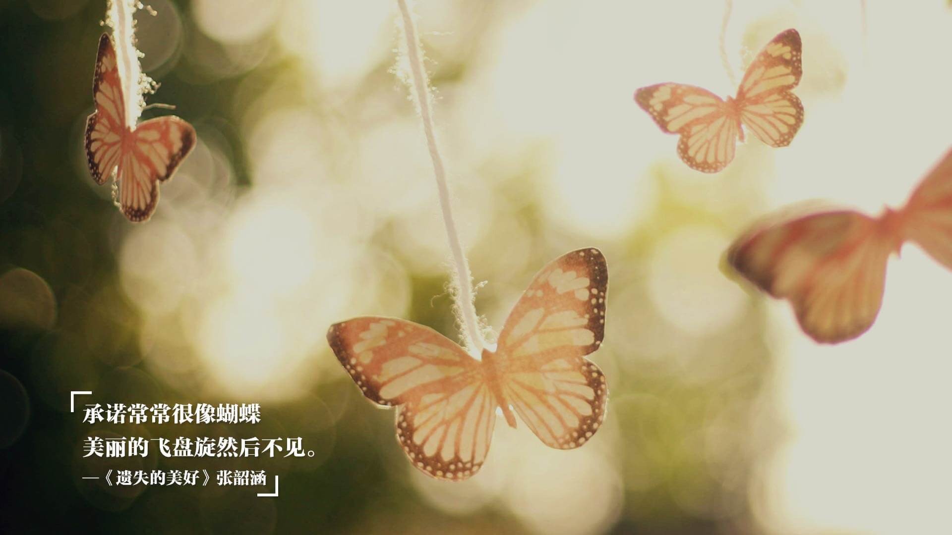 pg电子-统治级数据难救主，詹姆斯的夜晚与湖人的黄昏