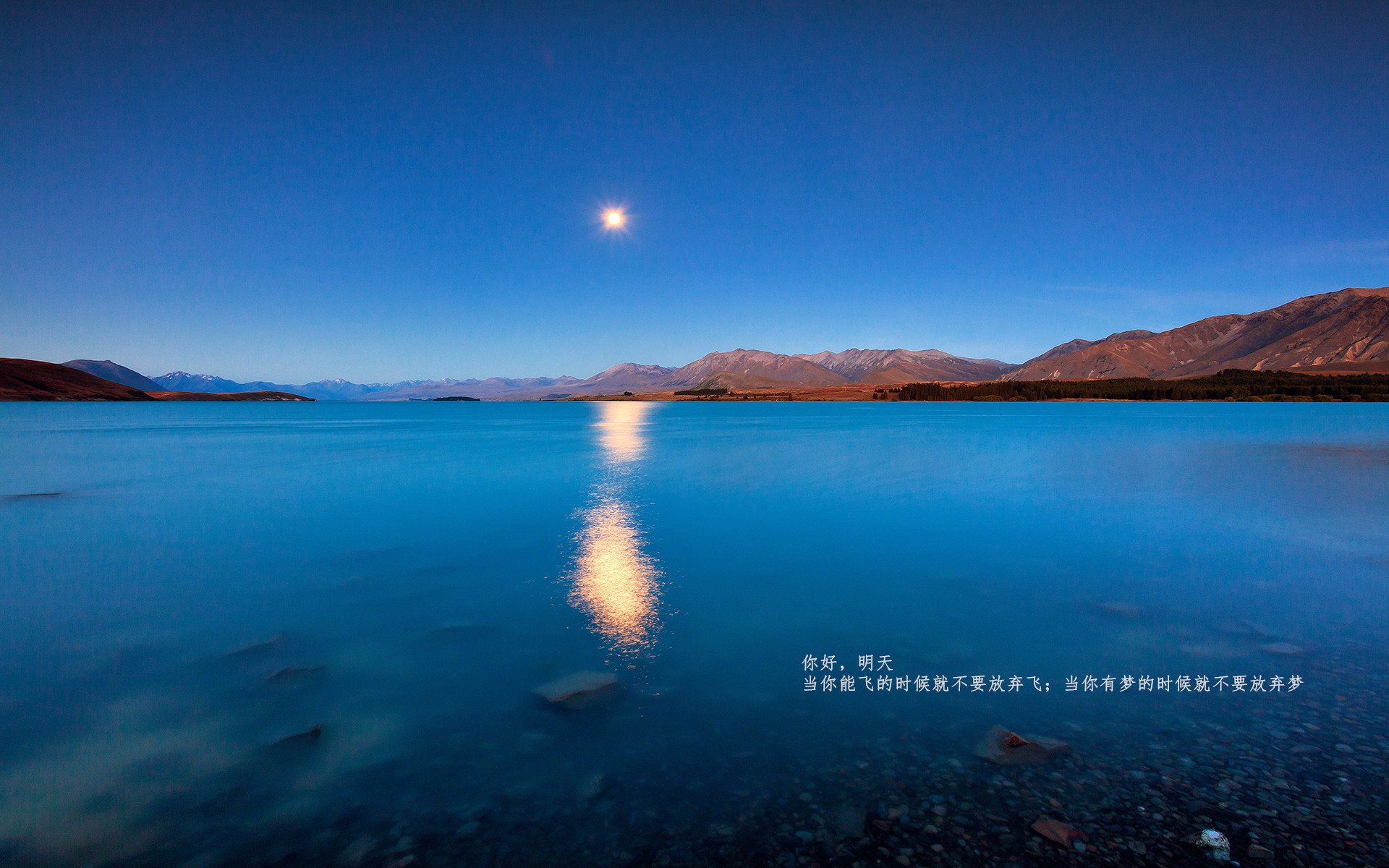 pg电子游戏-后防铁闸与冷面杀手，一场新与旧的绿茵交响