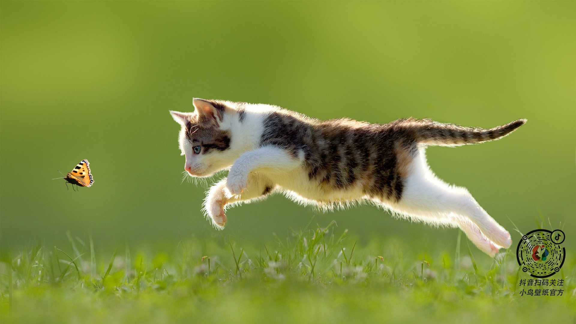 米切尔扛起黑夜,雄鹿硬骨头啃下浙江队