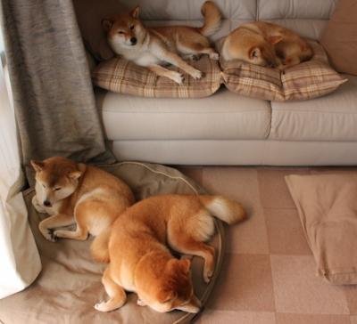 pg电子官网-关键先生保罗末节主宰比赛，魔术韧性十足险胜开拓者