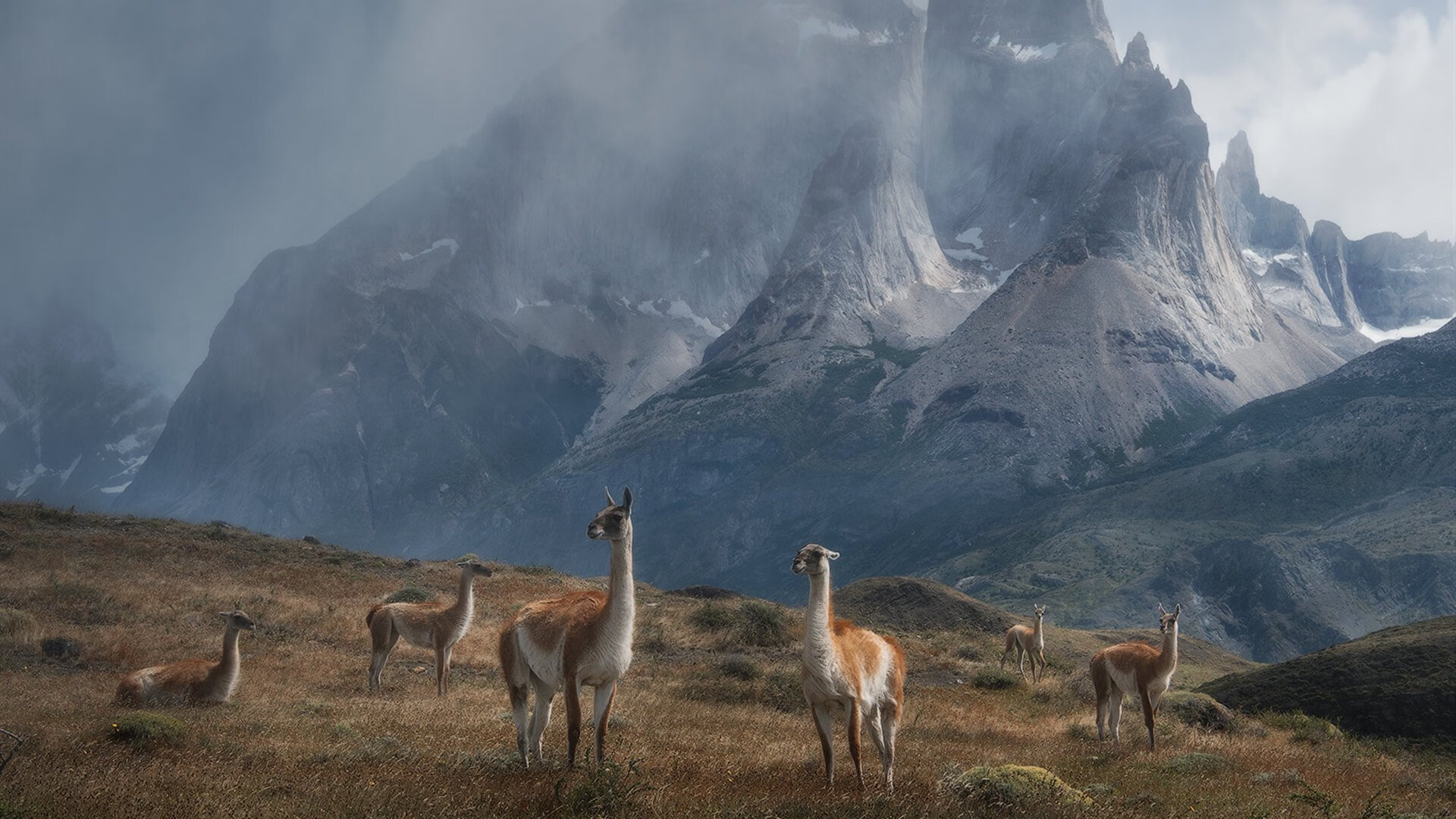 pg电子下载-金玟哉掀起惊涛骇浪！尼日利亚压倒性统治击碎日本篮球梦