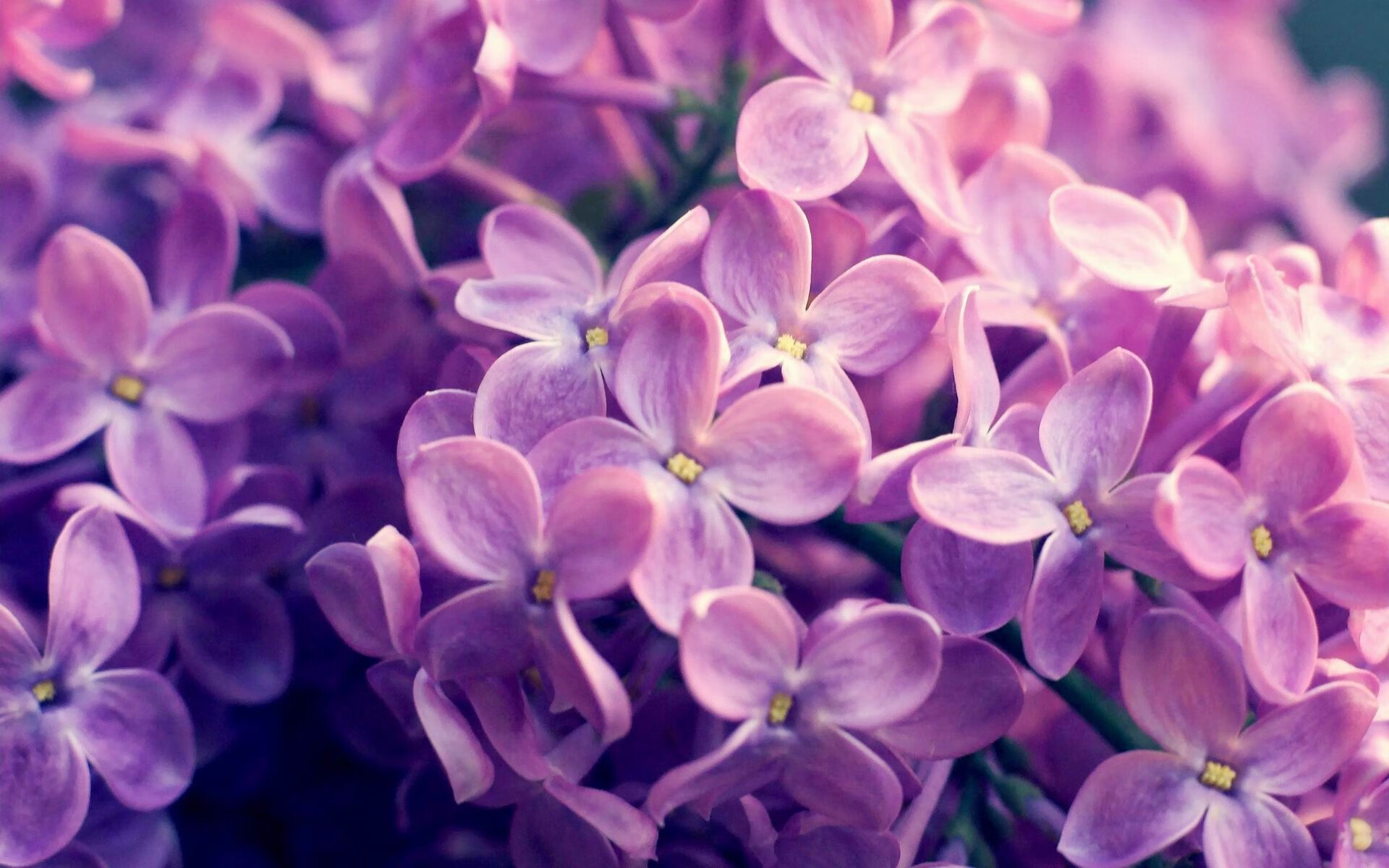 金玟哉掀起惊涛骇浪!尼日利亚压倒性统治击碎日本篮球梦