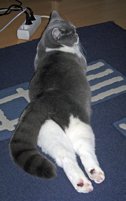 pg电子娱乐-布伦森爆发统治攻防，雄鹿雷霆之战早失悬念