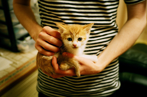 pg电子试玩-掌心舞步，从新西兰全黑队的节奏哲学到久保建英的欧冠时刻