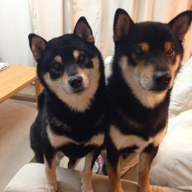 -棋手与棋局，孔德一子落定，欧冠之夜提前收官