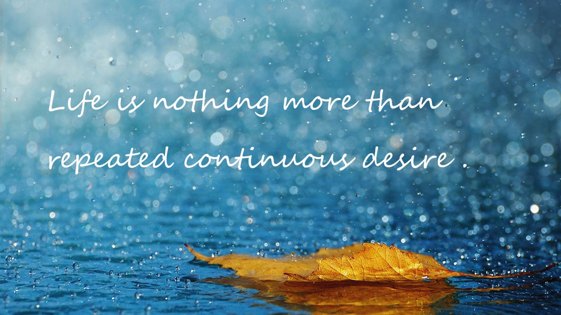 一个中锋、一座古城与南方的足球密码