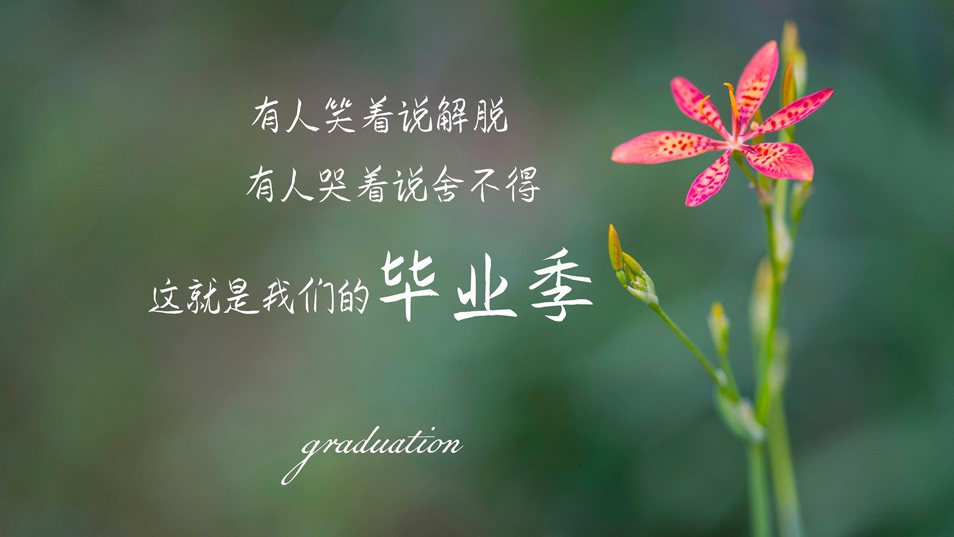 pg电子-绿茵神话，2026世界杯A组，越南大胜巴西，范戴克完成致命一击