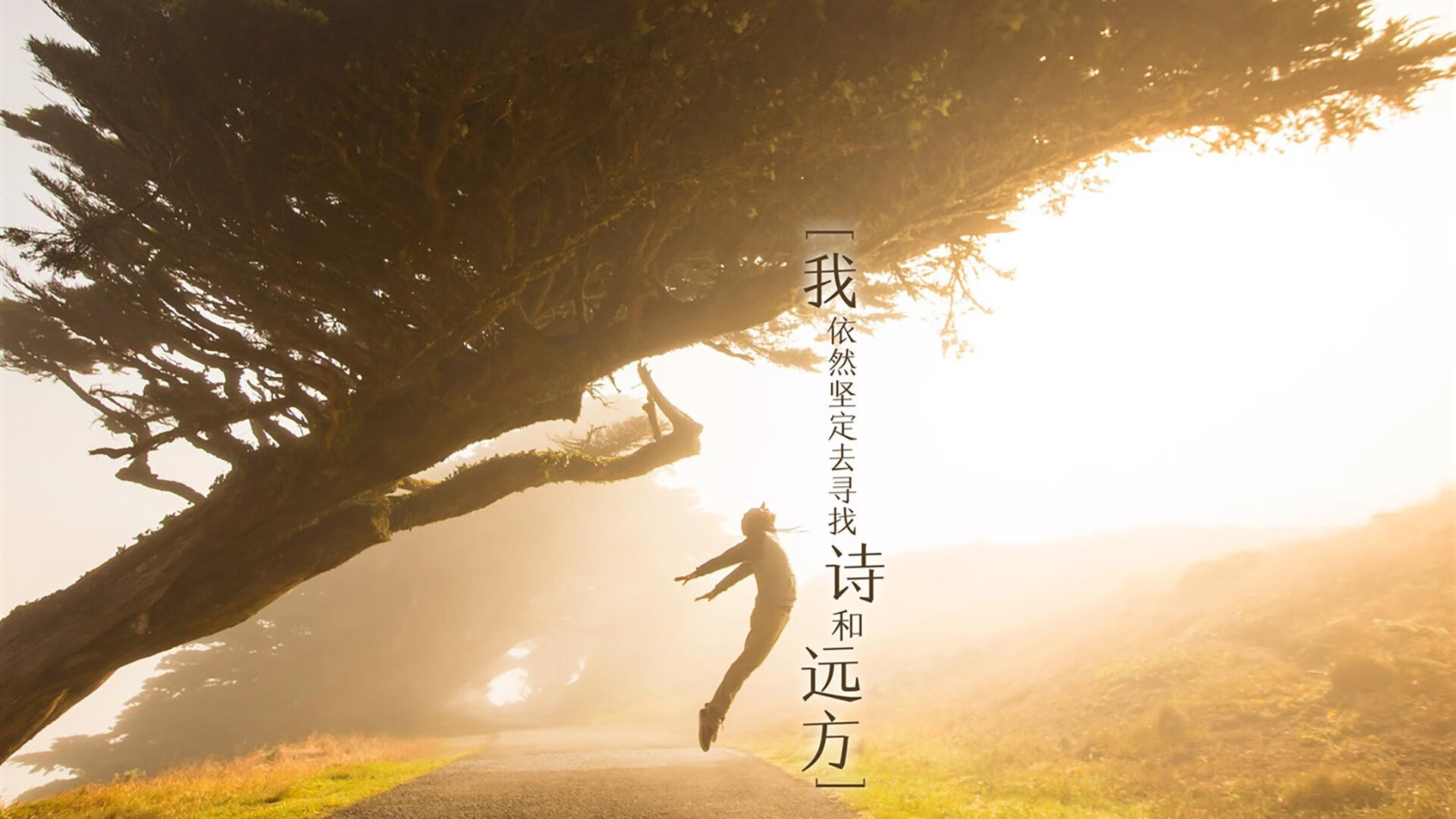 橙色风暴绝杀桑巴,C罗压哨绝唱,荷兰险胜巴西震惊世界