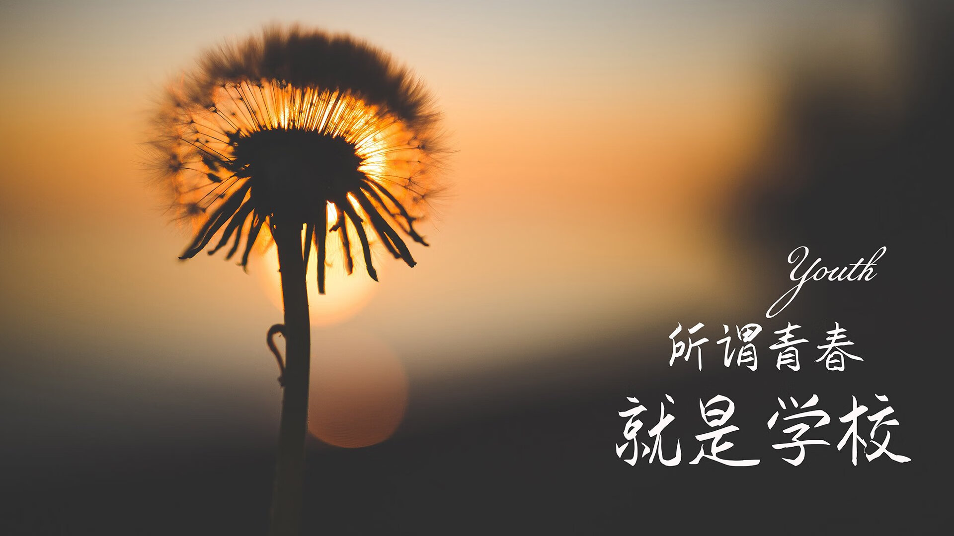 战术革命，贝林厄姆如何主导西班牙2026世界杯B组关键战